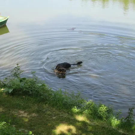 Дом отдыха Neuf 150 M2 Devant Un Grand Prive De 2 Hectares Poissonneux Au Milieu Des Bois Florennes