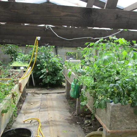 Prázdninový dům Neuf 150 M2 Devant Un Grand Prive De 2 Hectares Poissonneux Au Milieu Des Bois