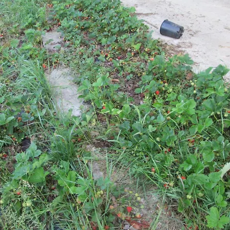 Neuf 150 M2 Devant Un Grand Privé De 2 Hectares Poissonneux Au Milieu Des Bois Florennes