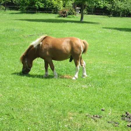 Holiday home Neuf 150 M2 Devant Un Grand Prive De 2 Hectares Poissonneux Au Milieu Des Bois