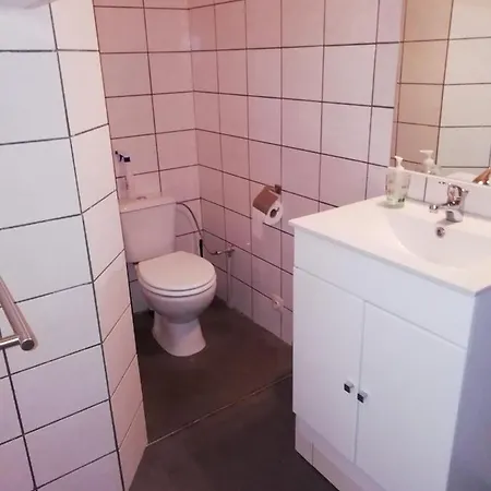 Holiday home Neuf 150 M2 Devant Un Grand Prive De 2 Hectares Poissonneux Au Milieu Des Bois