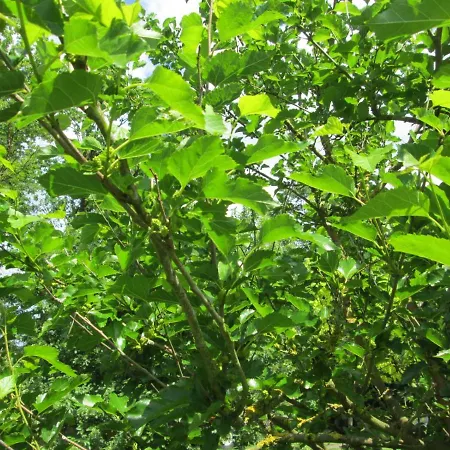 Neuf 150 M2 Devant Un Grand Prive De 2 Hectares Poissonneux Au Milieu Des Bois