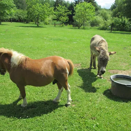 Neuf 150 M2 Devant Un Grand Prive De 2 Hectares Poissonneux Au Milieu Des Bois Vakantiehuis Florennes