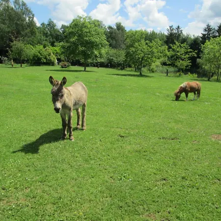 Prázdninový dům Neuf 150 M2 Devant Un Grand Prive De 2 Hectares Poissonneux Au Milieu Des Bois