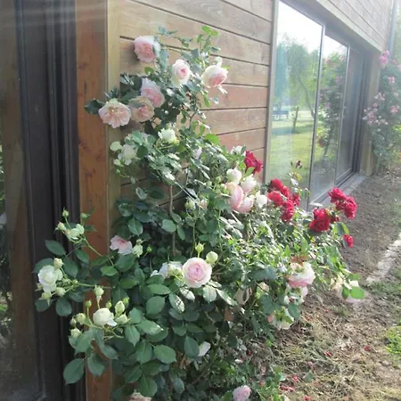 Neuf 150 M2 Devant Un Grand Privé De 2 Hectares Poissonneux Au Milieu Des Bois Casa vacanze Florennes