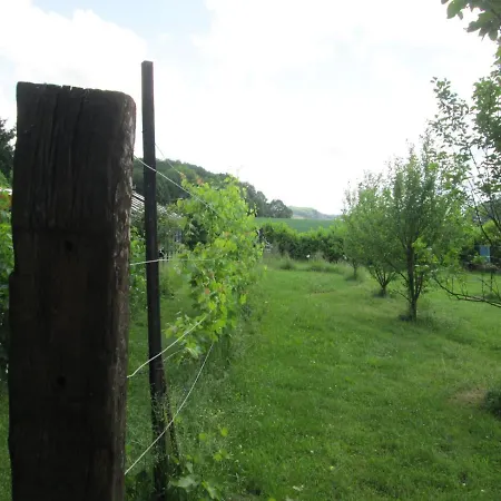 Neuf 150 M2 Devant Un Grand Prive De 2 Hectares Poissonneux Au Milieu Des Bois Vakantiehuis Florennes