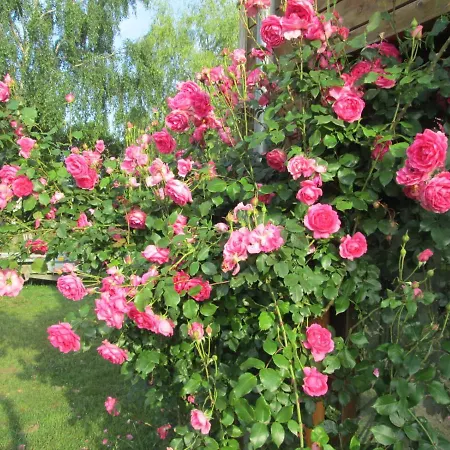 Neuf 150 M2 Devant Un Grand Privé De 2 Hectares Poissonneux Au Milieu Des Bois Casa vacanze Florennes