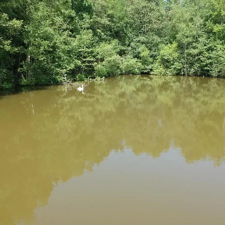 Neuf 150 M2 Devant Un Grand Prive De 2 Hectares Poissonneux Au Milieu Des Bois
