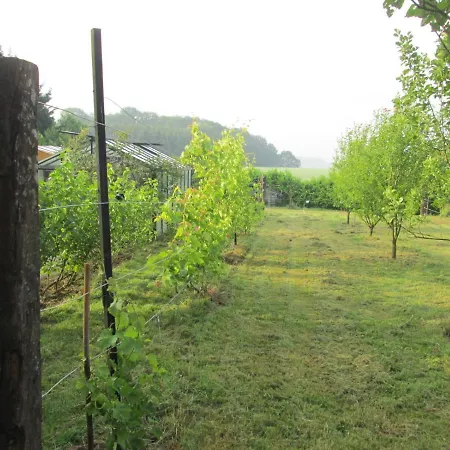 Prázdninový dům Neuf 150 M2 Devant Un Grand Prive De 2 Hectares Poissonneux Au Milieu Des Bois Florennes