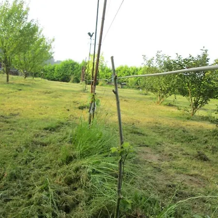 Neuf 150 M2 Devant Un Grand Prive De 2 Hectares Poissonneux Au Milieu Des Bois *