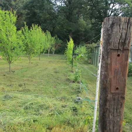Neuf 150 M2 Devant Un Grand Prive De 2 Hectares Poissonneux Au Milieu Des Bois * Florennes