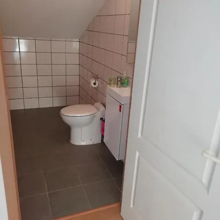 Neuf 150 M2 Devant Un Grand Prive De 2 Hectares Poissonneux Au Milieu Des Bois Vakantiehuis