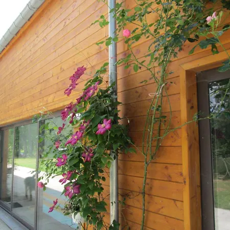 Neuf 150 M2 Devant Un Grand Privé De 2 Hectares Poissonneux Au Milieu Des Bois