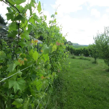 Neuf 150 M2 Devant Un Grand Prive De 2 Hectares Poissonneux Au Milieu Des Bois *