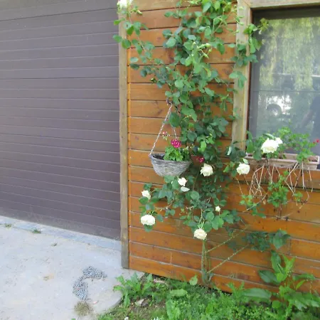 Neuf 150 M2 Devant Un Grand Prive De 2 Hectares Poissonneux Au Milieu Des Bois Florennes