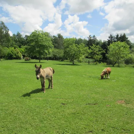 Neuf 150 M2 Devant Un Grand Prive De 2 Hectares Poissonneux Au Milieu Des Bois Vakantiehuis
