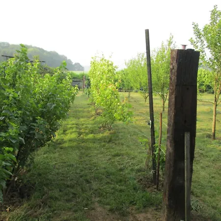Neuf 150 M2 Devant Un Grand Prive De 2 Hectares Poissonneux Au Milieu Des Bois Vakantiehuis *