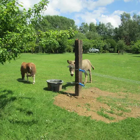 Neuf 150 M2 Devant Un Grand Prive De 2 Hectares Poissonneux Au Milieu Des Bois Prázdninový dům Florennes