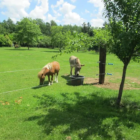 Neuf 150 M2 Devant Un Grand Prive De 2 Hectares Poissonneux Au Milieu Des Bois Vakantiehuis Florennes
