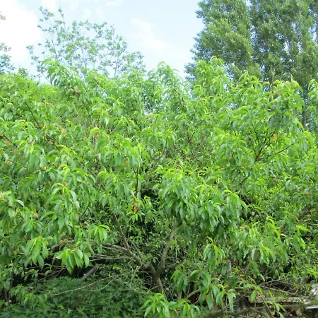 Neuf 150 M2 Devant Un Grand Prive De 2 Hectares Poissonneux Au Milieu Des Bois