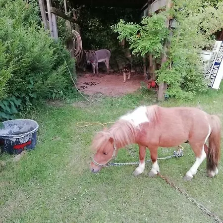 Neuf 150 M2 Devant Un Grand Prive De 2 Hectares Poissonneux Au Milieu Des Bois Vakantiehuis Florennes