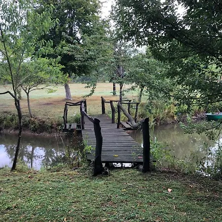Neuf 150 M2 Devant Un Grand Prive De 2 Hectares Poissonneux Au Milieu Des Bois Florennes