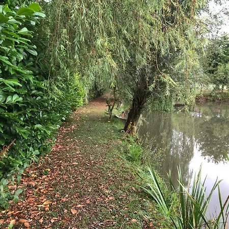 Holiday home Neuf 150 M2 Devant Un Grand Prive De 2 Hectares Poissonneux Au Milieu Des Bois