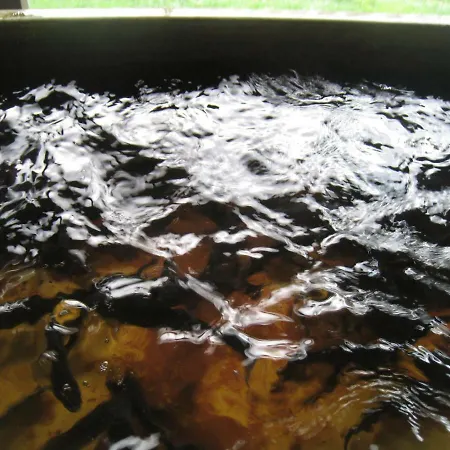 Neuf 150 M2 Devant Un Grand Prive De 2 Hectares Poissonneux Au Milieu Des Bois Prázdninový dům *